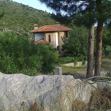 Villakoza * ميسوديه
