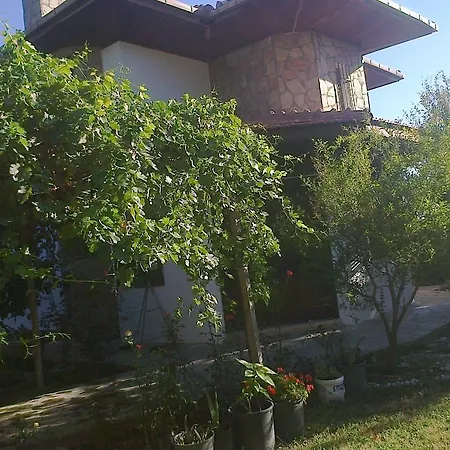 Villakoza * ميسوديه