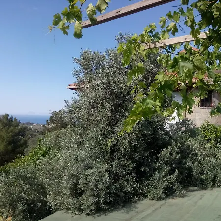 Villakoza بيت للعطل *